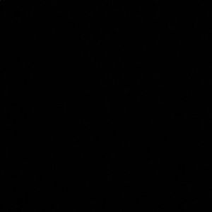 Meet your Posher, Chelsea